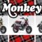 New 2023 Honda Monkey Review, Specs, and Price